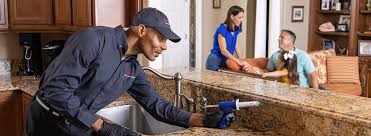 Best Real Estate Pest Inspections  in Warren, MN